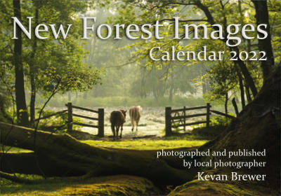 New Forest Images Calendar 2022