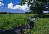 The Beaulieu River at Longwater Lawn image ref 254