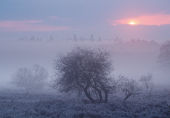 Frosty Dawn at Blackensford Bottom image ref 413