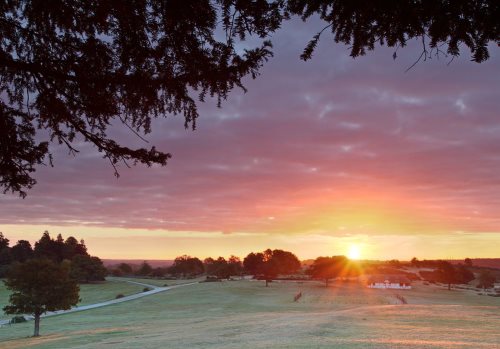 New Forest Landscapes : Sunrise from Bolton