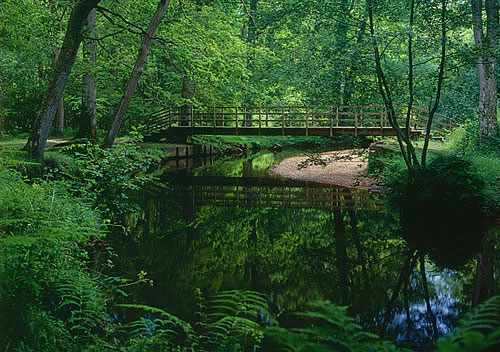 New Forest Landscapes : Bridge over the Lymington River near Brockenhurst