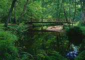 Bridge over the Lymington River near Brockenhurst image ref 278