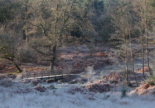 New Forest Landscapes : Footbridge over Highland Water