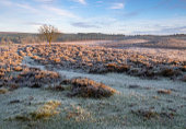 Hasley Hill in the Frost image ref 388