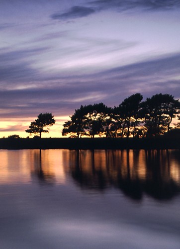 New Forest Landscapes : Sunset at Hatchet Pond in High Summer