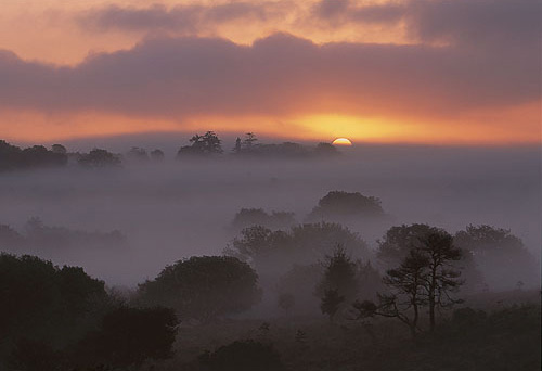 New Forest Landscapes : Sunrise at High Corner