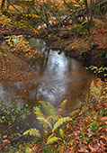 Highland Water in Autumn image ref 331