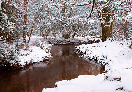 New Forest Landscapes : Highland Water near Millyford Bridge