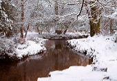 Highland Water near Millyford Bridge image ref 399