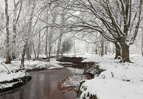 New Forest Landscapes : Highland Water in the Snow