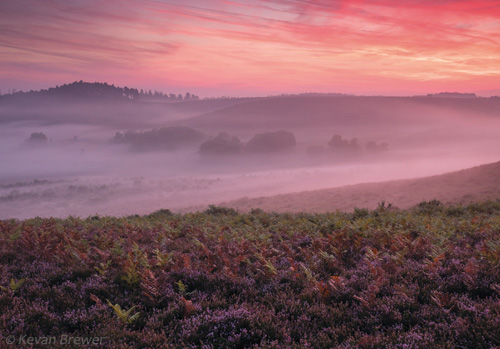 New Forest Landscapes : Late Summer Heathland Sunrise