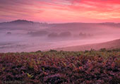Late Summer Heathland Sunrise image ref 384