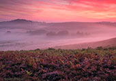 Late Summer Heathland Sunrise
image ref 384