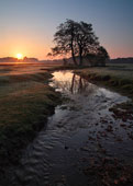 Longwater Lawn at Sunrise II image ref 250