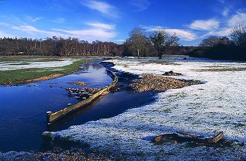 New Forest Landscapes : Mill Lawn Brook/Oberwater at Markway Bridge