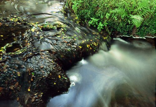 New Forest Landscapes : Mini Waterfall on a New Forest Stream