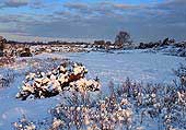 Snow on Blackwell Common image ref 244