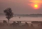 Sunrise from Matley Ridge image ref 202