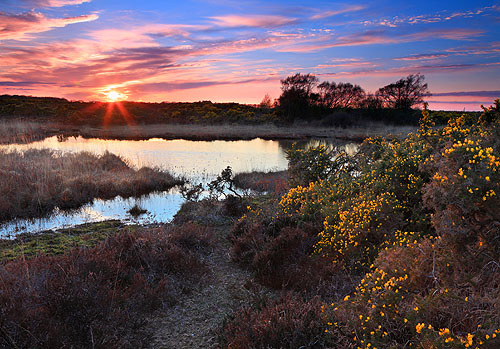 New Forest Landscapes : Sunset over Two Bridges Pond