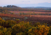 View over Duck Hole image ref 391