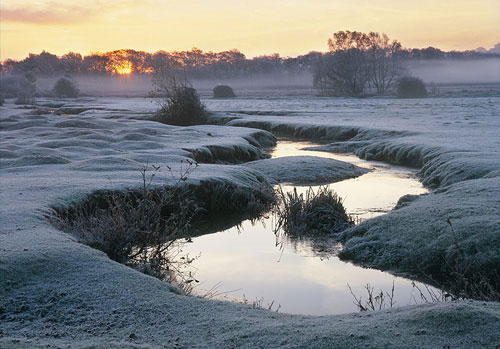 New Forest Landscapes : Winter Sunrise at Longwater Lawn