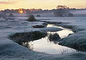 Winter Sunrise at Longwater Lawn image ref 306