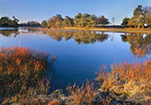 Winter Sunshine at Hatchet Pond image ref 322