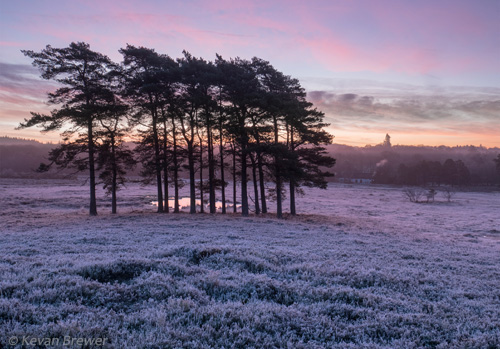 New Forest Landscapes : Sunrise over Woodford Bottom