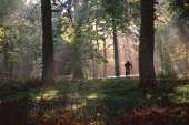 Cyclist in Sloden Inclosure image ref 277