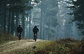 Cyclists on New Forest track image ref 116