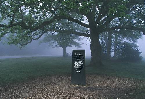 About The New Forest : The Rufus Stone at Canterton