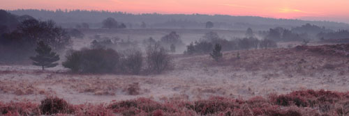 Panoramic Images of the New Forest : New Forest Valley at Dawn