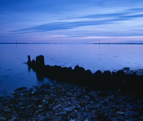 Coast : Weathered Groyne at Dusk