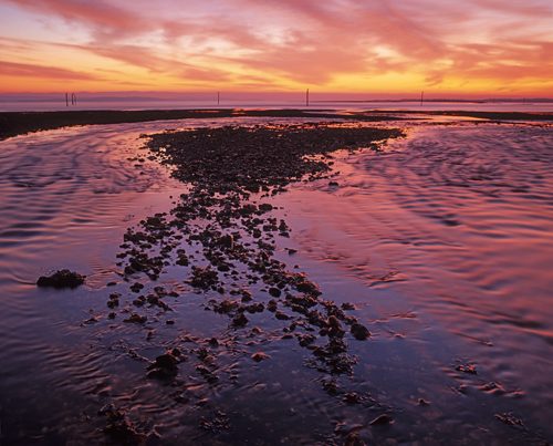 Coast : Estuary of the River Darkwater at Lepe