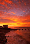 Sunrise at Lepe image ref 246