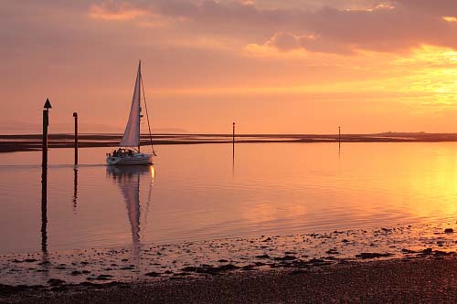 Coast : Sailing Home at Sunset